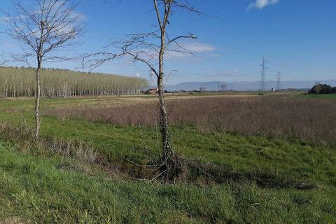 Helårsgrund i Bientina, Pisa, Bientina - € 20.000 | Ref: PO2021173 - foto 4
