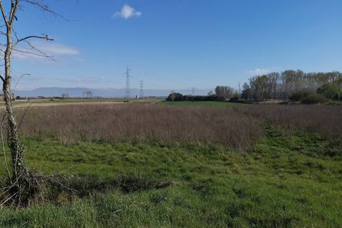 Helårsgrund i Bientina, Pisa, Bientina - € 20.000 | Ref: PO2021173 - foto 5