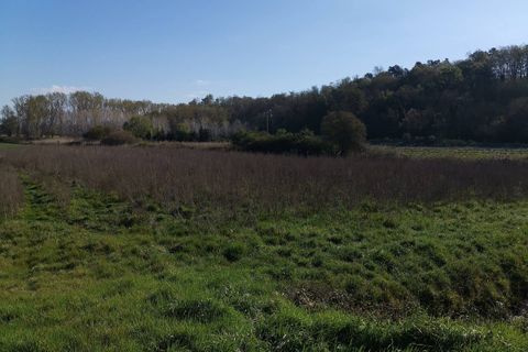 Helårsgrund i Bientina, Pisa, Bientina - € 20.000 | Ref: PO2021173 - foto 6