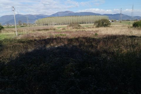 Helårsgrund i Bientina, Pisa, Bientina - € 20.000 | Ref: PO2021173 - foto 8