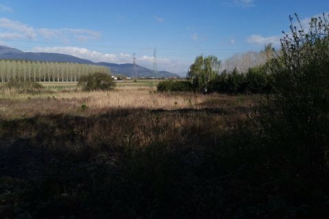 Helårsgrund i Bientina, Pisa, Bientina - € 20.000 | Ref: PO2021173 - foto 9