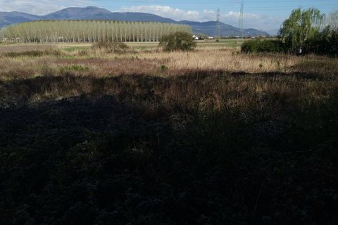 Helårsgrund i Bientina, Pisa, Bientina - € 20.000 | Ref: PO2021173 - foto 10
