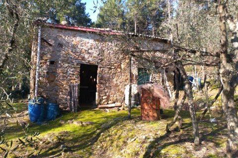 Villa a Buti, Pisa, Buti - € 240.000 | Ref: PO2021080 - foto 14