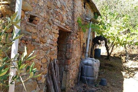 Villa a Buti, Pisa, Buti - € 240.000 | Ref: PO2021080 - foto 18