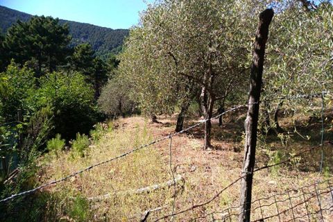 Villa a Buti, Pisa, Buti - € 240.000 | Ref: PO2021080 - foto 20