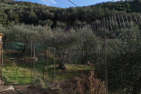 Villa a Vicopisano, Pisa, Vicopisano - € 249.000 | Ref: 1341po - foto 9