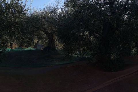 Villa a Vicopisano, Pisa, Vicopisano - € 249.000 | Ref: 1341po - foto 13
