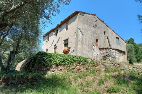 Villa a Vicopisano, Pisa, Vicopisano - € 260.000 | Ref: 2024P053 - foto 2