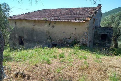 Villa a Vicopisano, Pisa, Vicopisano - € 260.000 | Ref: 2024P053 - foto 4