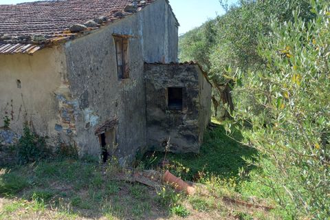 Villa a Vicopisano, Pisa, Vicopisano - € 260.000 | Ref: 2024P053 - foto 5