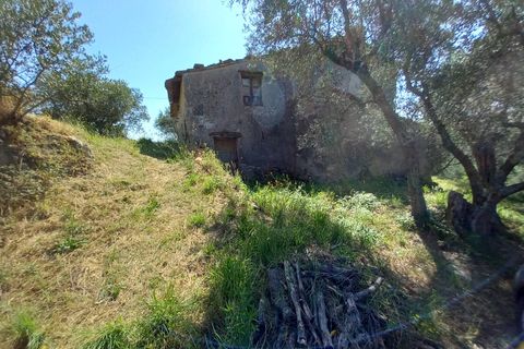 Villa a Vicopisano, Pisa, Vicopisano - € 260.000 | Ref: 2024P053 - foto 6