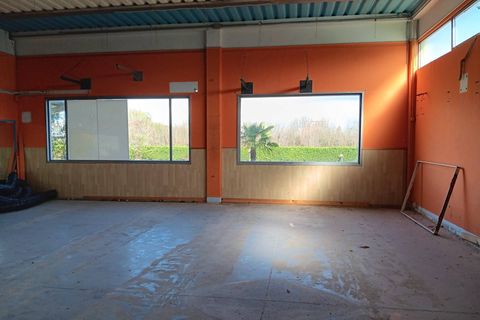 Erhvervsejendom i Collesalvetti, Livorno, Collesalvetti - € 350.000 | Ref: 2024Li034 - foto 8