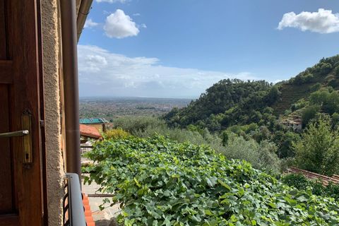 Villa i Pietrasanta, Lucca, Pietrasanta - € 980.000 | Ref: Vi2021082 - foto 28