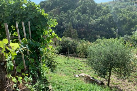 Villa i Pietrasanta, Lucca, Pietrasanta - € 980.000 | Ref: Vi2021082 - foto 42