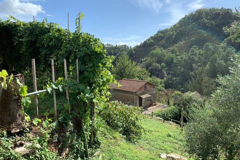 Villa i Pietrasanta, Lucca, Pietrasanta - € 980.000 | Ref: Vi2021082 - foto 44