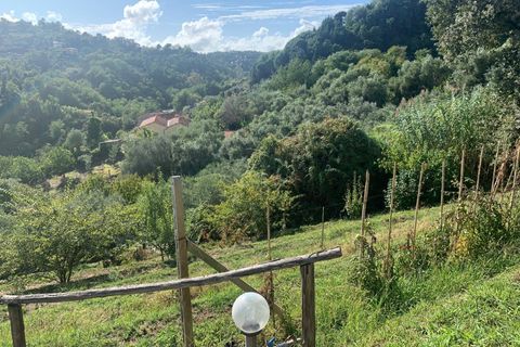 Villa i Pietrasanta, Lucca, Pietrasanta - € 980.000 | Ref: Vi2021082 - foto 46