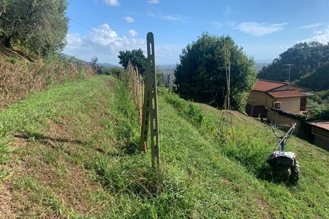 Villa i Pietrasanta, Lucca, Pietrasanta - € 980.000 | Ref: Vi2021082 - foto 47
