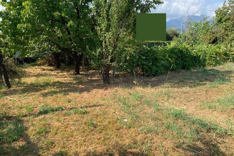Tomt i Pietrasanta, Lucca, Pietrasanta - € 240 000 | Ref: Vi2021060 - foto 10