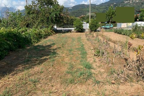 Tomt i Pietrasanta, Lucca, Pietrasanta - € 240 000 | Ref: Vi2021060 - foto 13
