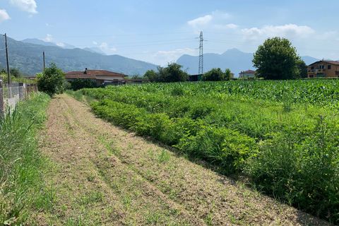 Helårsgrund i Pietrasanta, Lucca, Pietrasanta - € 100.000 | Ref: Vi2021039 - foto 3