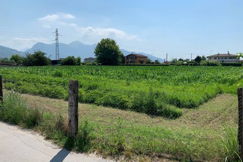 Helårsgrund i Pietrasanta, Lucca, Pietrasanta - € 100.000 | Ref: Vi2021039 - foto 5