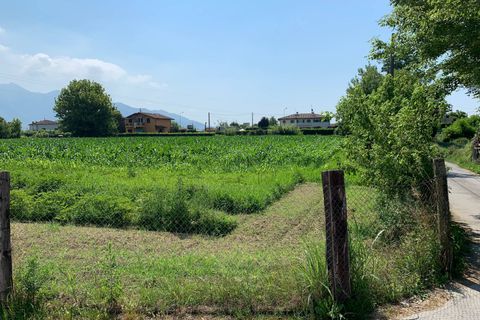 Helårsgrund i Pietrasanta, Lucca, Pietrasanta - € 100.000 | Ref: Vi2021039 - foto 6