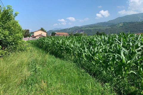 Helårsgrund i Pietrasanta, Lucca, Pietrasanta - € 100.000 | Ref: Vi2021039 - foto 8