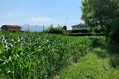 Helårsgrund i Pietrasanta, Lucca, Pietrasanta - € 100.000 | Ref: Vi2021039 - foto 9