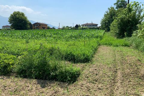 Helårsgrund i Pietrasanta, Lucca, Pietrasanta - € 100.000 | Ref: Vi2021039 - foto 11