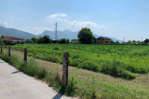 Helårsgrund i Pietrasanta, Lucca, Pietrasanta - € 100.000 | Ref: Vi2021039 - foto 14