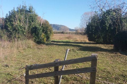 Tomt i Camaiore, Lucca, Camaiore - € 104 000 | Ref: Vi2021040 - foto 7