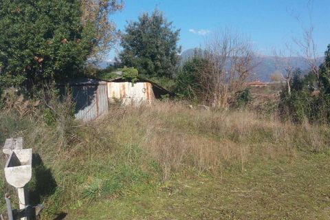 Helårsgrund i Camaiore, Lucca, Camaiore - € 100.000 | Ref: Vi2021041 - foto 13