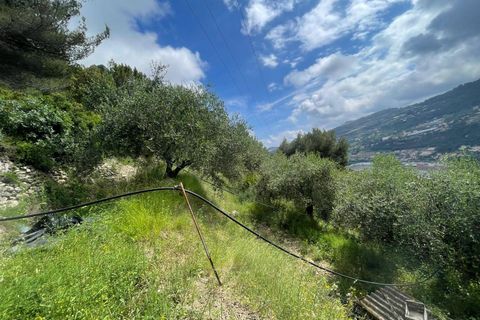 Terra a Camporosso, Imperia, Camporosso - € 45.000 | Ref: F159-1413 - foto 2