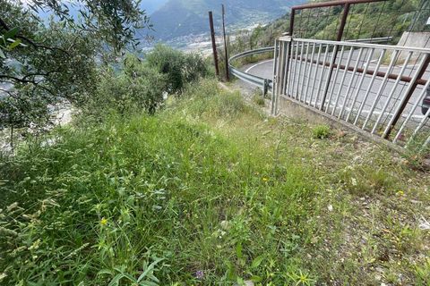 Terra a Camporosso, Imperia, Camporosso - € 45.000 | Ref: F159-1413 - foto 4