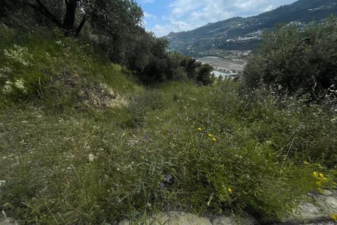 Terra a Camporosso, Imperia, Camporosso - € 45.000 | Ref: F159-1413 - foto 6