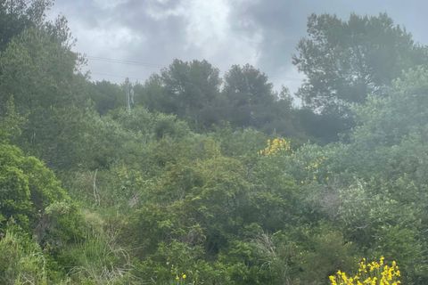 Terra a Camporosso, Imperia, Camporosso - € 45.000 | Ref: F159-1413 - foto 10