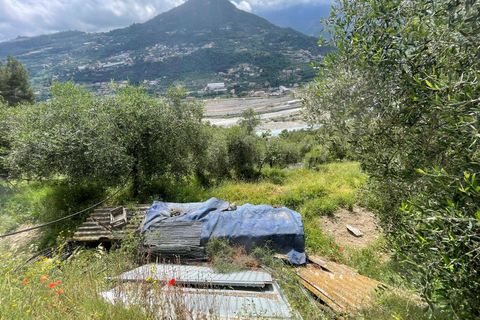 Terra a Camporosso, Imperia, Camporosso - € 45.000 | Ref: F159-1413 - foto 11