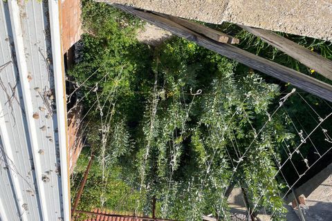Helårsgrund i Ventimiglia, Imperia, Ventimiglia - € 140.000 | Ref: F159-1433 - foto 11