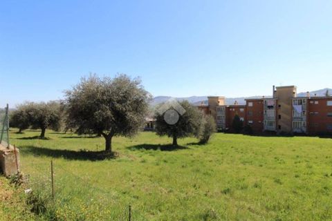 Helårsgrund i Teramo, Teramo, Teramo - € 130.000 | Ref: 330 - foto 4
