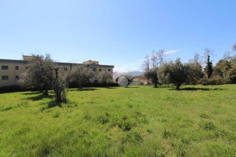 Helårsgrund i Teramo, Teramo, Teramo - € 130.000 | Ref: 330 - foto 6