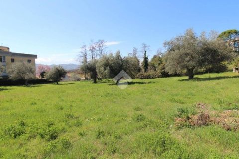Helårsgrund i Teramo, Teramo, Teramo - € 130.000 | Ref: 330 - foto 8