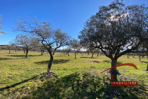 Helårsgrund i Cassaro, Siracusa, Cassaro - € 700.000 | Ref: 4021 - foto 7