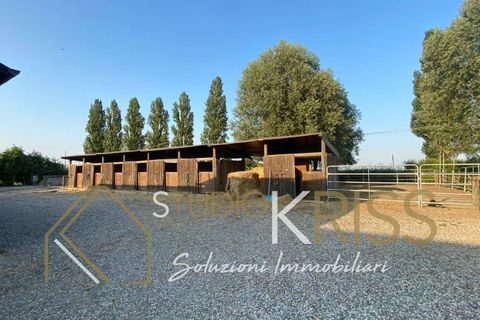 Villa i Ferrara, Ferrara, Ferrara - € 468.000 | Ref: V625 - foto 10