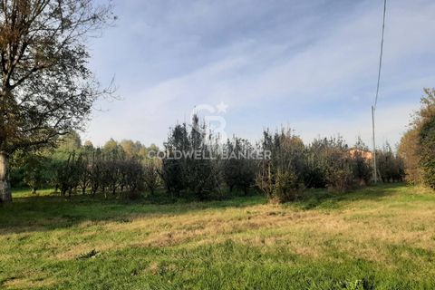 Villa a Nonantola, Modena, Nonantola - € 2.800.000 | Ref: CBI132-1802-80 - foto 3