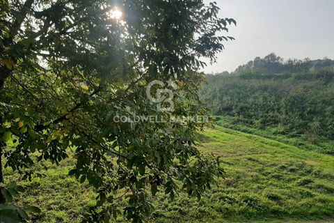Villa a Nonantola, Modena, Nonantola - € 2.800.000 | Ref: CBI132-1802-80 - foto 13
