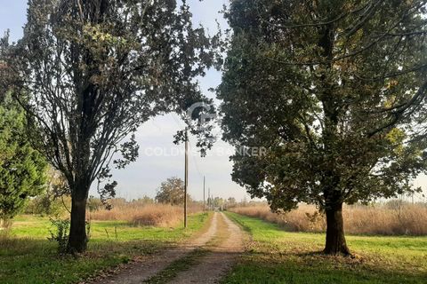 Villa a Nonantola, Modena, Nonantola - € 2.800.000 | Ref: CBI132-1802-80 - foto 28