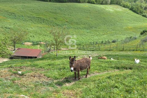 Landejendom i Santa Sofia, Forli-Cesena, Santa Sofia - € 1.900.000 | Ref: CBI132-1802-92 - foto 13