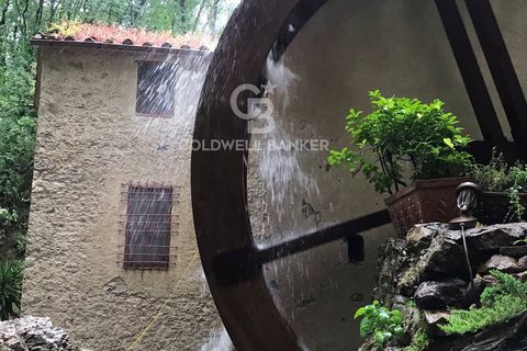 Landejendom i Camaiore, Lucca, Camaiore - € 395.000 | Ref: CBI132-1802-107 - foto 3