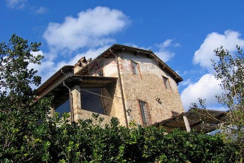 Villa i Camaiore, Lucca, Camaiore - € 1.600.000 | Ref: 2509 - foto 3
