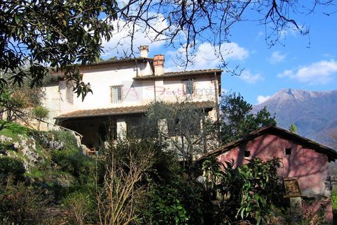 Villa i Camaiore, Lucca, Camaiore - € 1.600.000 | Ref: 2509 - foto 4